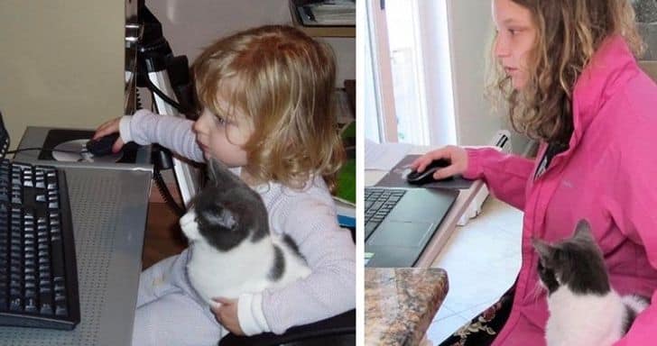 a-kutyak-es-macskak-baratsaga-egy-eletre-szolo-kotelek-2631419d