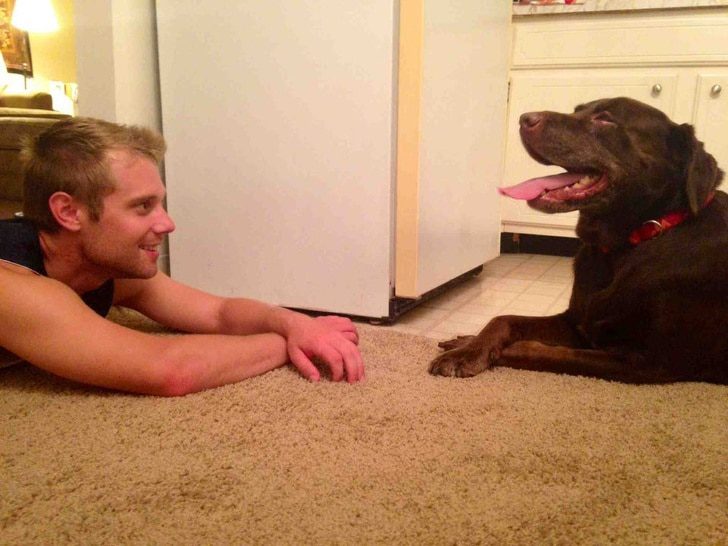 a-mely-kapcsolat-emberek-es-allatok-kozott-093621a4