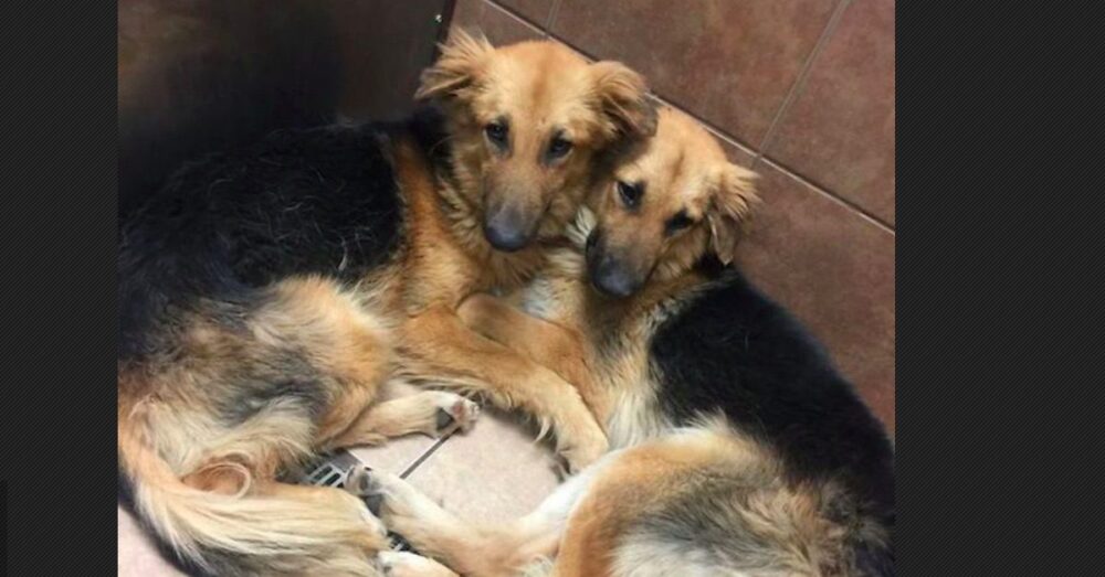 k&eacute;tbar&aacute;t