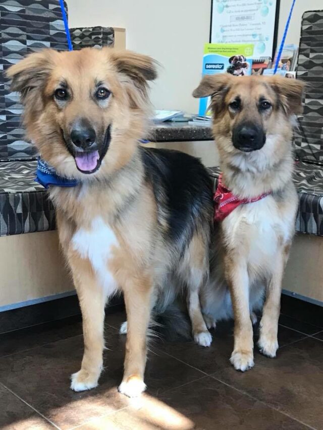 k&eacute;tbar&aacute;t 