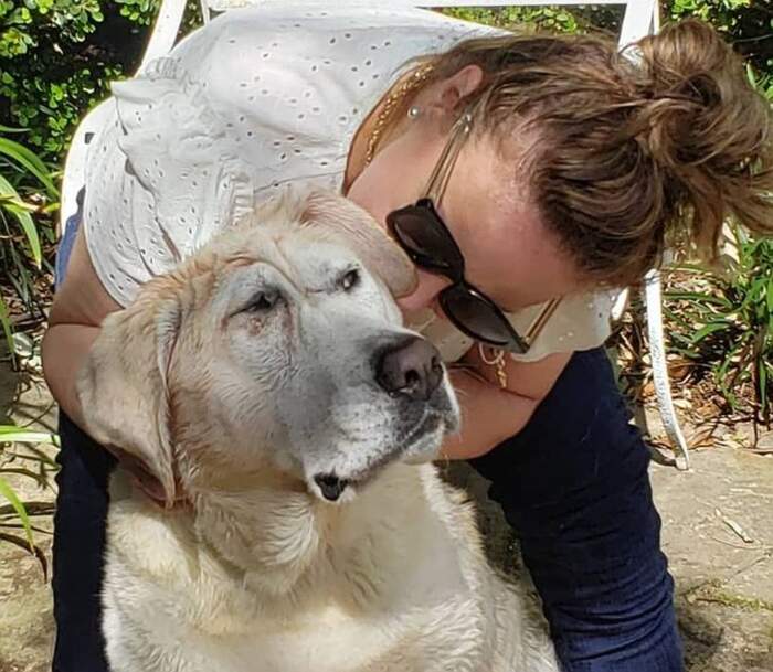 a-szerelem-gyogyito-ereje-beaux-tortenete-74b223ec