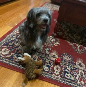 allatok-akik-nem-tudjak-titkolni-a-boldogsagukat-644311ce