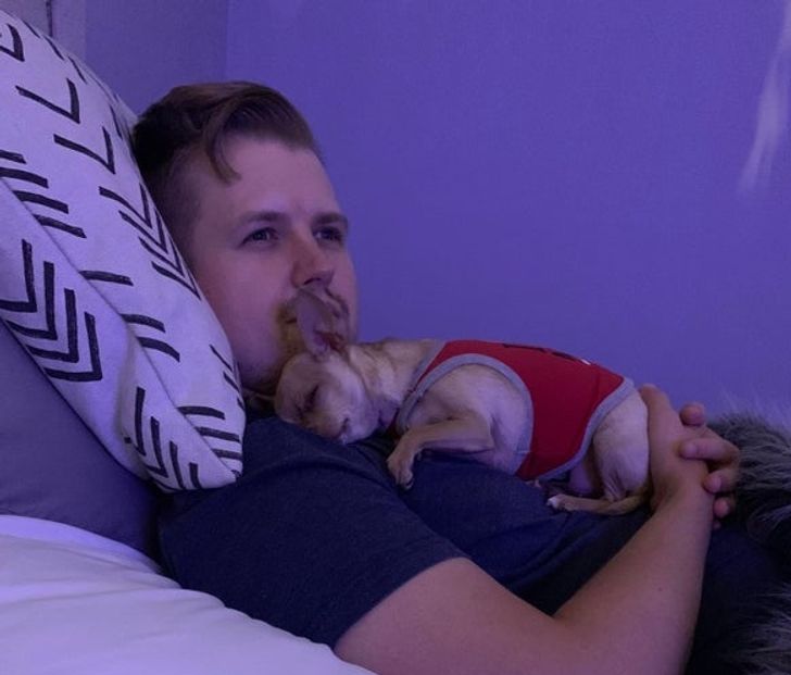 amikor-a-kiskedvencek-belopjak-magukat-a-szivunkbe-309fbeab