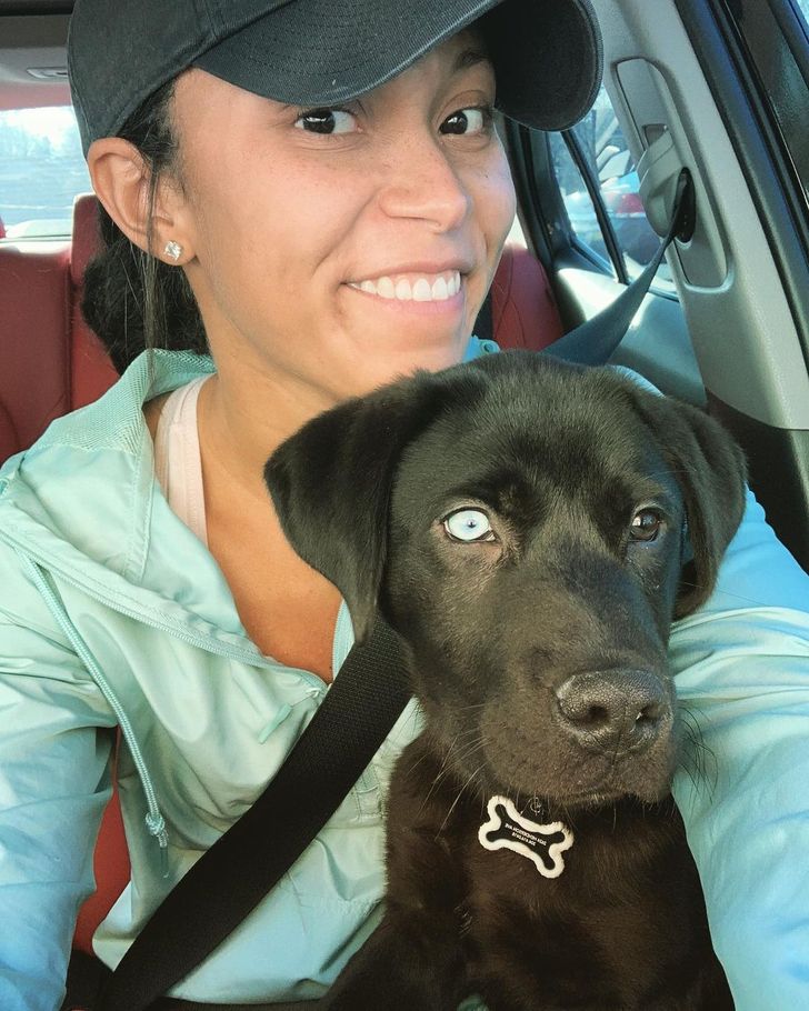 beleszeretni-a-menhelyi-allatokba-18-kulonleges-pillanat-f513a9b9