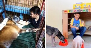 egy-kisfiu-aki-megvaltoztatta-az-allatok-sorsat-b696bcaa