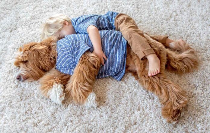 elvalaszthatatlan-baratsag-szuletett-a-kisfiu-es-a-mentett-kutya-kozott-49420530