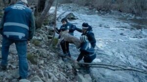 farkasmentes-a-jeghideg-vizbol-egy-hosies-tortenet-a-termeszet-vedelmeben-8c53730a