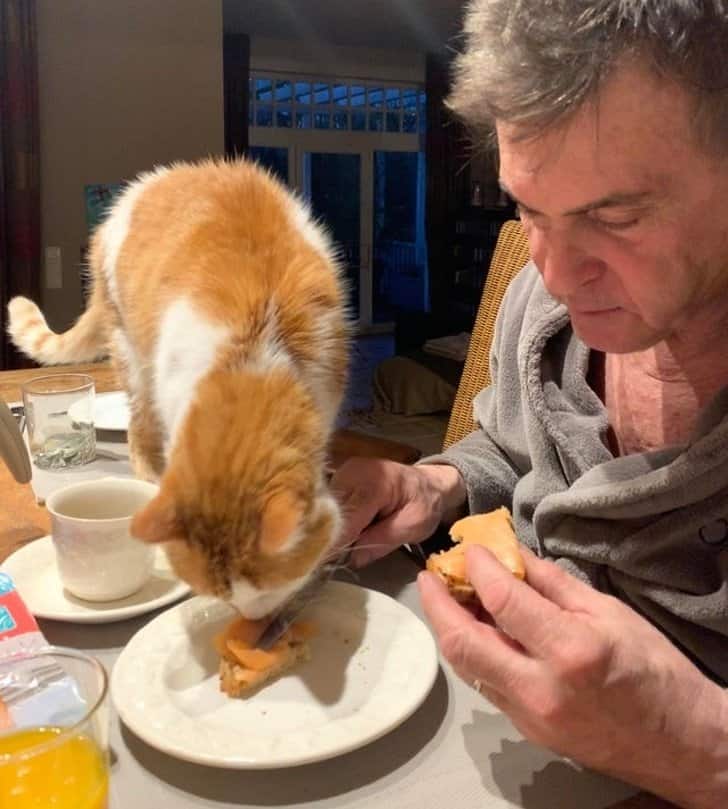 ferfiak-akik-a-haziallatok-ellen-voltak-de-ma-mar-elvalaszthatatlanok-toluk-f6a3290d