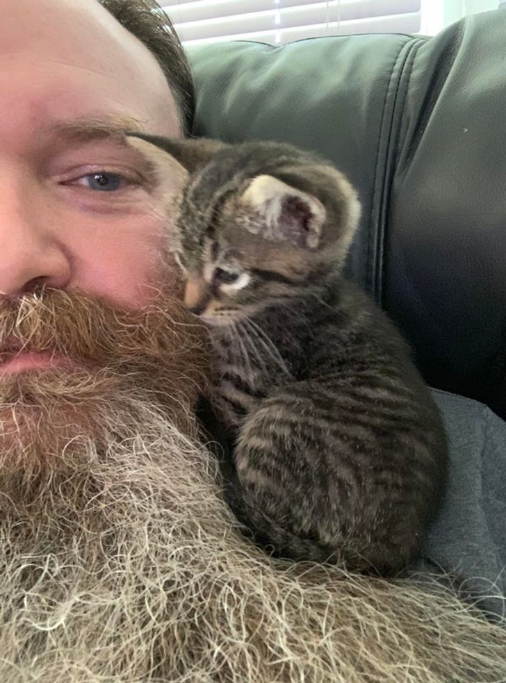 kedves-tarsak-a-legodaadobb-hazikedvencek-15da658e