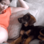 Kutyus öröme a babavárás hírére: egy tündéri reakció