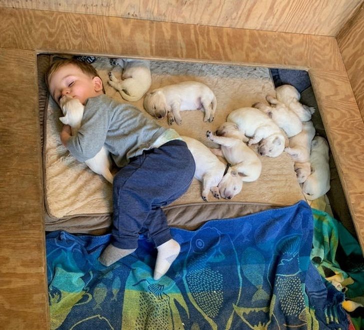 miert-erdemes-kedvencet-tartani-a-csaladban-c8d733d8