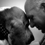 Ne szégyelld a kutyádat: az állatszeretet fontossága