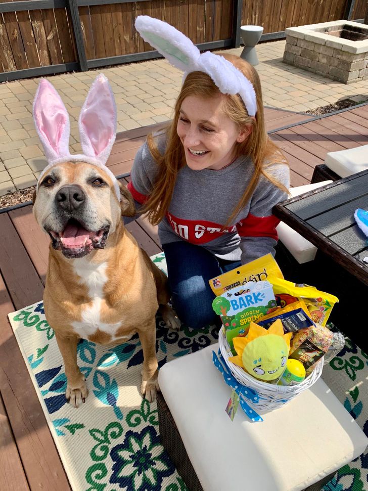 Nyugdíjas kedvencek: 15 szeretett családi tag, akik örökre a szívünkben élnek 246 nyugdíjas kedvencek5