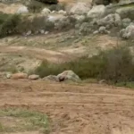 Meghallotta a sírást a sziklák közül – amit a barlangban találtak, attól mindenki elnémult