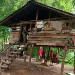 Kutyák között nőtt fel a 8 éves kisfiú – ugatással kommunikált, amikor rátaláltak