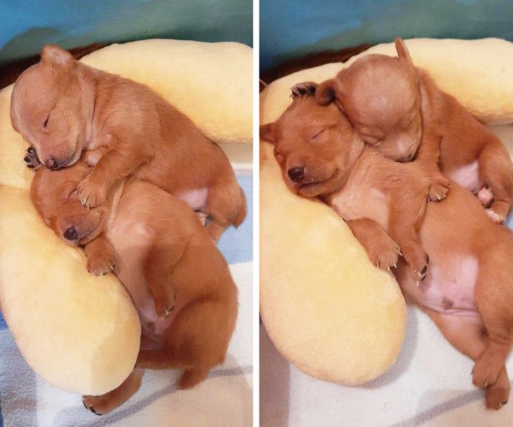 szeretni &eacute;s szeretve lenni a legnagyobb boldogs&aacute;g a vil&aacute;gon