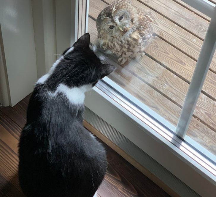 szeretet-es-boldogsag-15-kedvenc-aki-bemutatja-mit-jelent-igazan-36bff0e7