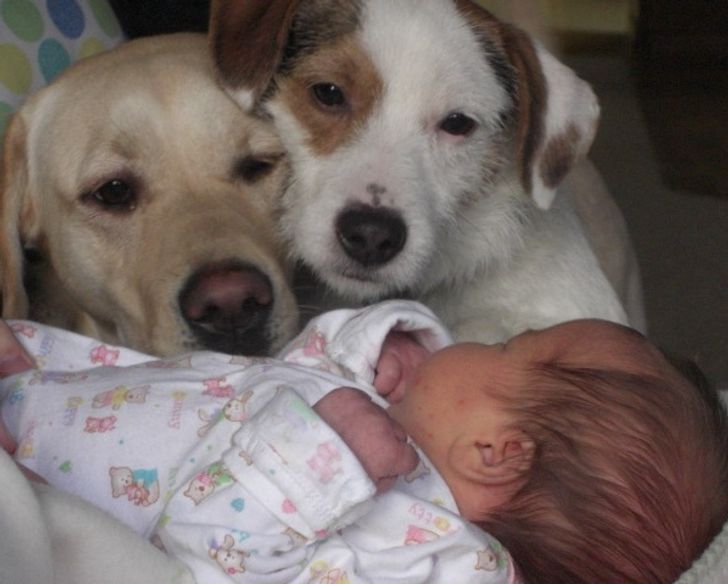 szeretni &eacute;s szeretve lenni a legnagyobb boldogs&aacute;g a vil&aacute;gon6