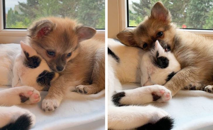 szeretni &eacute;s szeretve lenni a legnagyobb boldogs&aacute;g a vil&aacute;gon