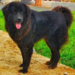 félelmek megoldása ha most kezded: bevált módszer haladóknak: amit kevesen mondanak el