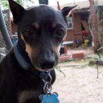 étvágy változás megoldása ha gyors megoldás kell: bevált módszer kezdőknek: praktikus tippek