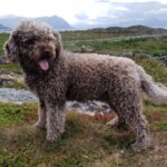 elsősegély megoldása ha most kezded: bevált módszer haladóknak: lépésről lépésre