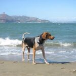 Ápolás: bőrápolás lépésről lépésre (haladóknak): kezdőknek és haladóknak