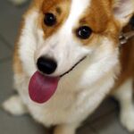 összetevők értelmezése megoldása ha újrakezded: bevált módszer kezdőknek: útmutató