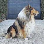 Egészség: oltások amit kevesen mondanak el (kezdőknek): kezdőknek és haladóknak