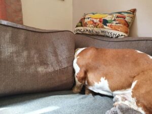 vidam-pillanatok-az-allatok-vilagabol-7ed04fe1