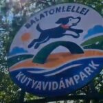 Kutyás álomhely nyílik a Balatonnál: medence, agility pálya és homokozó várja az ebeket