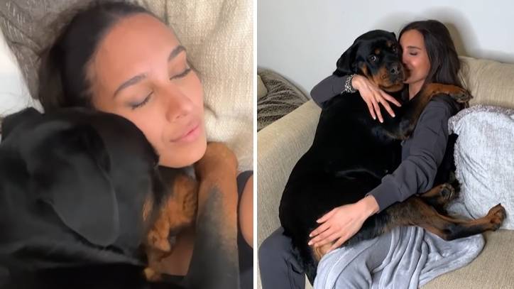 Szomorú rottweiler ölelése: egy videó, ami megindítja a szíveket 77 ölelés