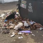 Egy kuka mellé kötözve várt a csodára – Snapple története megérinti a szíved